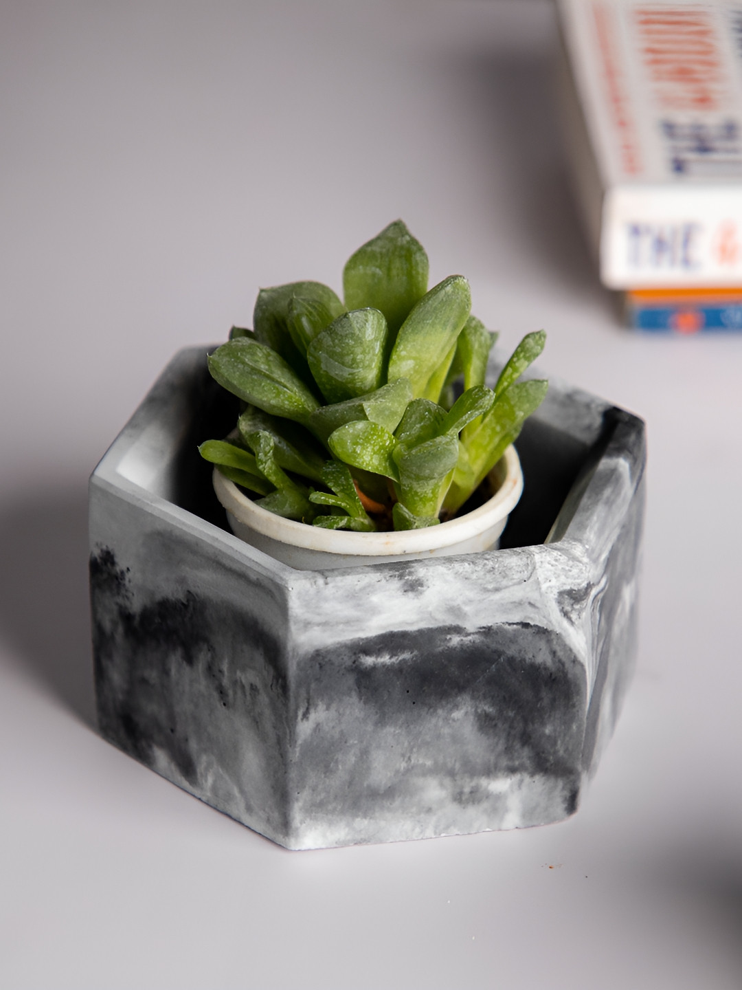 Greyt Hexo White & Black Textured Hexagonal Planters