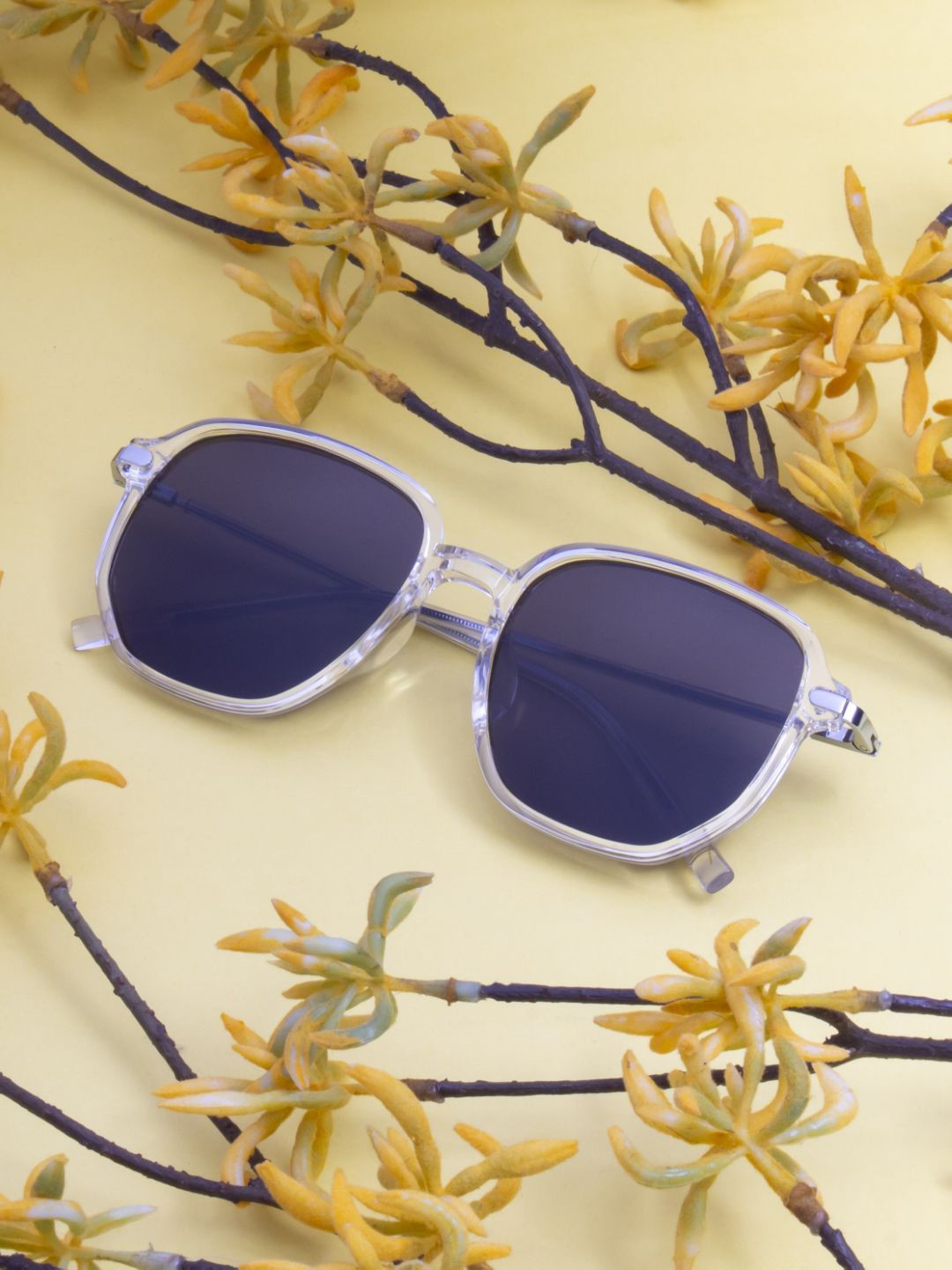 Ted Smith Unisex Crystal-Black Aesthetic Square Sunglasses with Polarised Lens