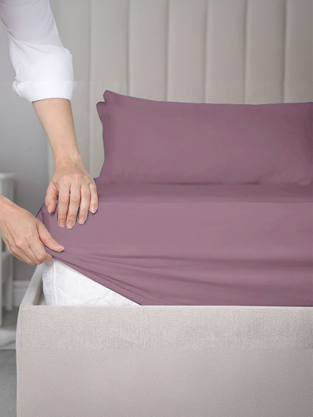 SleepyCat Purple Cotton Easy to Tuck 200 TC Fitted Queen Fine Bedsheet with 2 Pillow Covers-72 x 59 inches