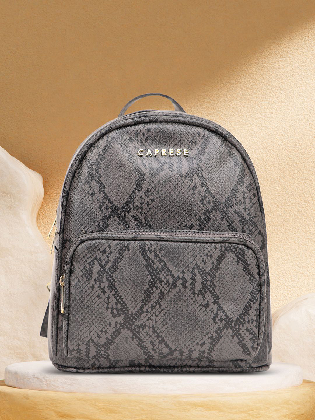 Caprese Draco Women Grey Small Backpack