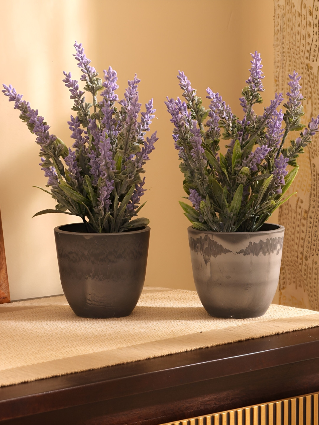 Elemntl Purple & Green 2 Pieces Lavender Plant With Pot