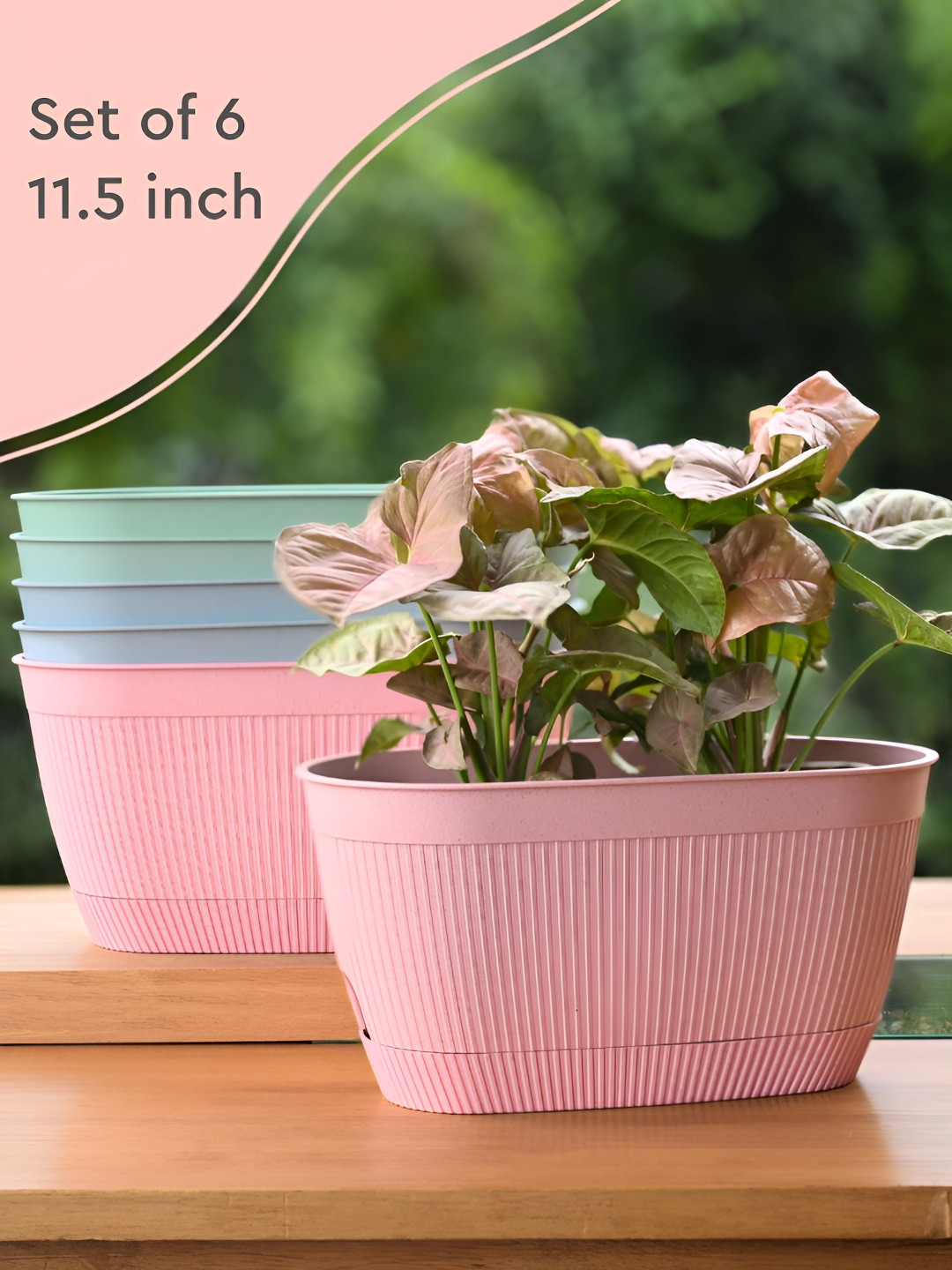 eha Set Of 6 Blue & Pink Textured PlantersPot