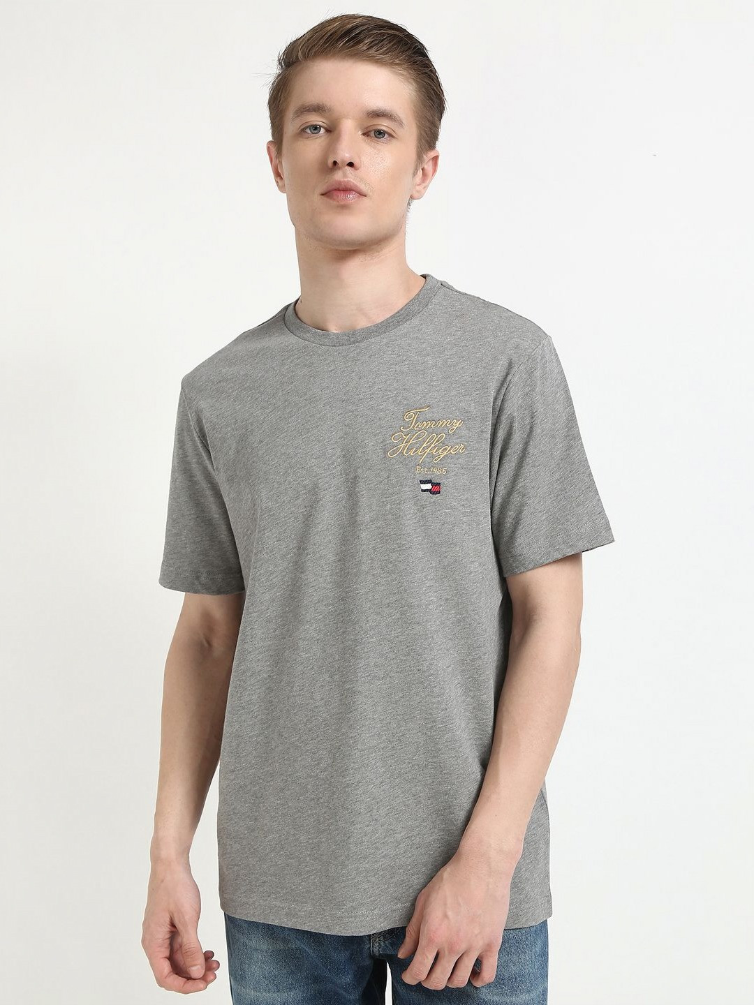 Tommy Hilfiger Men fashion Varsity Embroidered Cotton Casual Regular Fit T-shirt