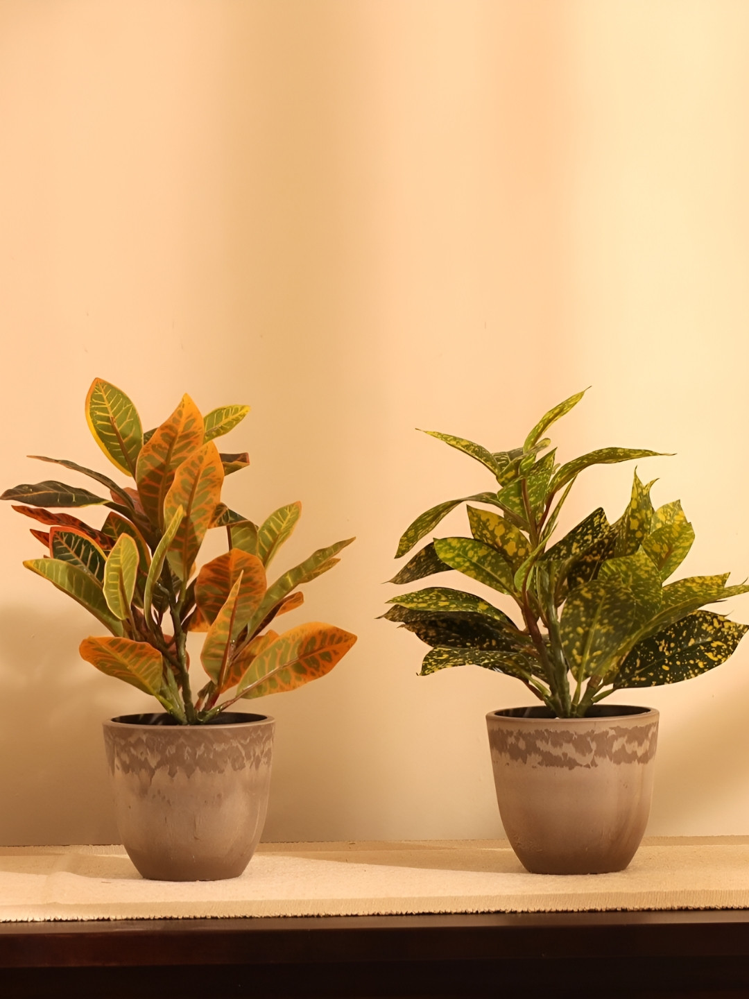 Elemntl Assorted 2 Pieces Artificial Potted Croton Plants With Pot