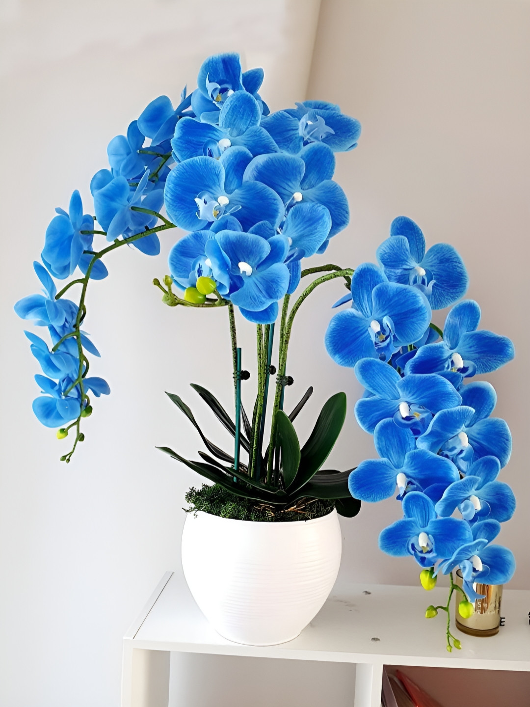 TIED RIBBONS Blue 3 Pieces Orchid Artificial Flower