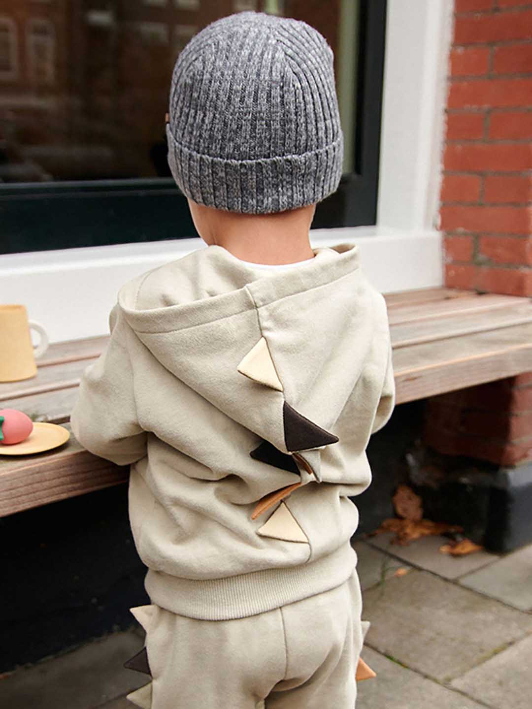 JC SPARKLE Boys Hooded Long Sleeves Pure Cotton Sweatshirt With Joggers