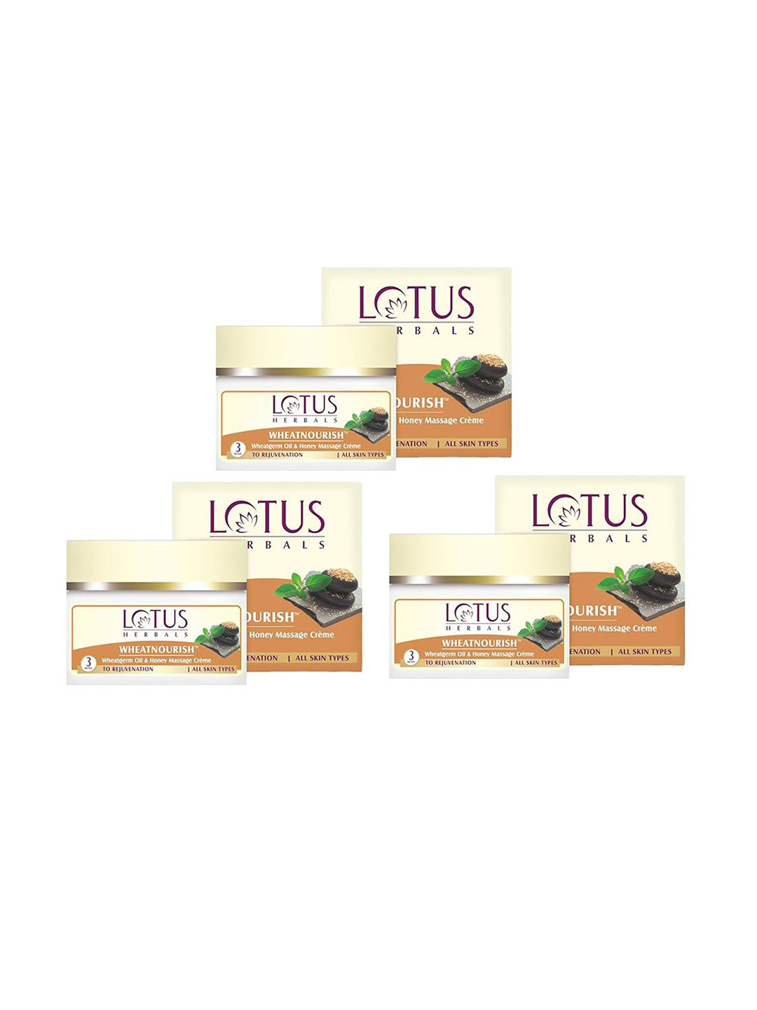 Lotus Herbals Set of 3 Wheatnourish Wheatgerm Oil & Honey Massage Day Cream - 50 g each
