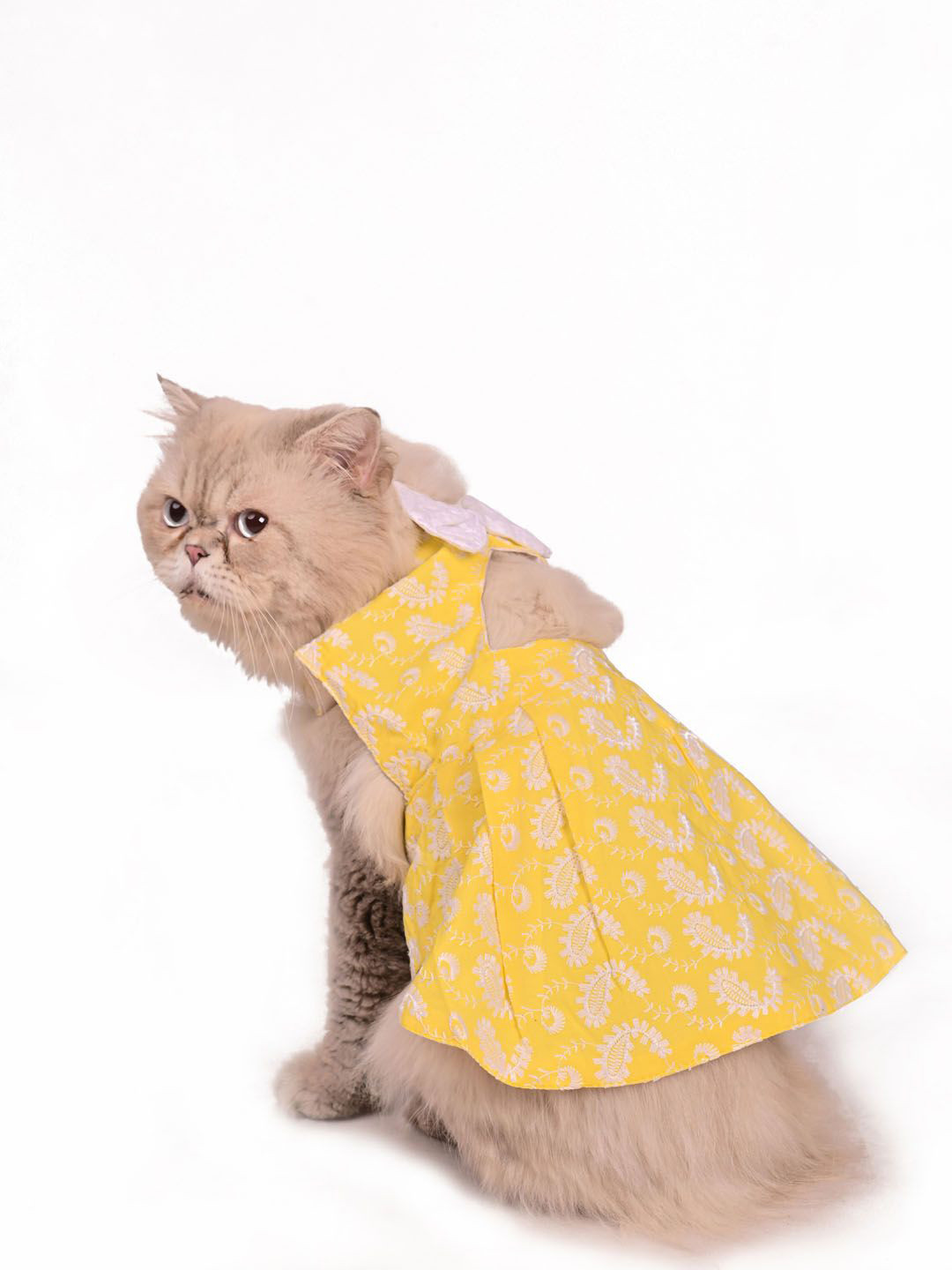 VASTRAMAY Chikankari Pure Cotton Cut Out Cat Dress