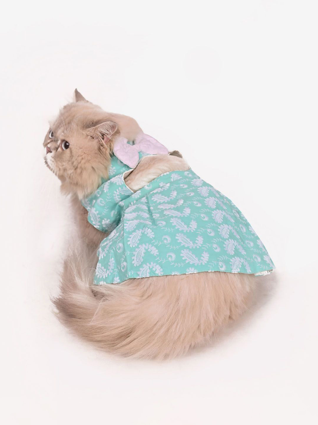 VASTRAMAY Chikankari Pure Cotton Cat Cut Out Dress