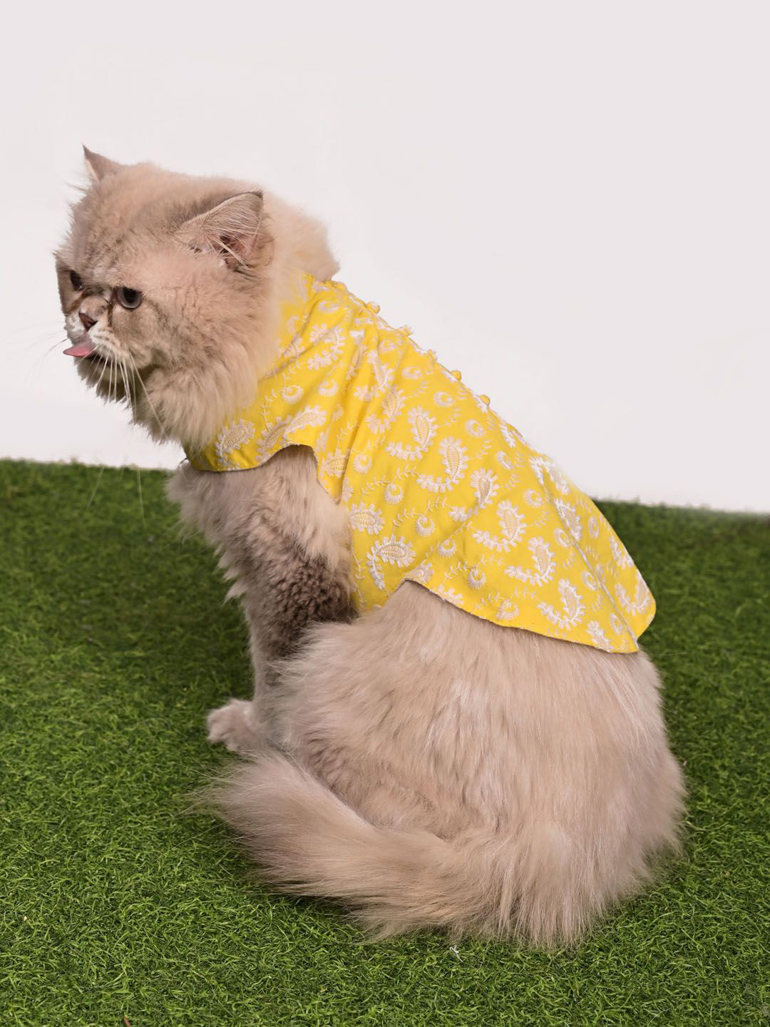 VASTRAMAY Chikankari Cotton Cat Dress