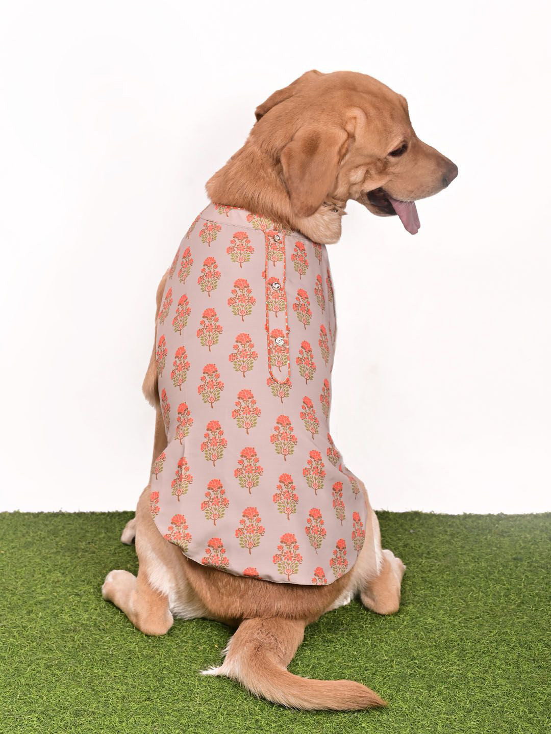 VASTRAMAY Graphic Printed Rayon Dog Dress