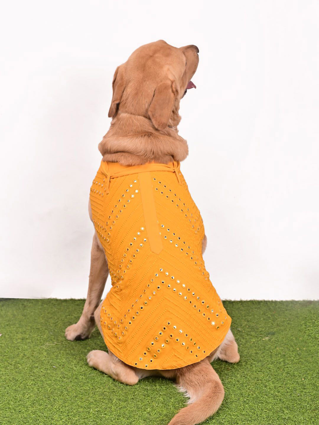 VASTRAMAY Mirror Work Embroidered Kurta With Dupatta Dog Dresses