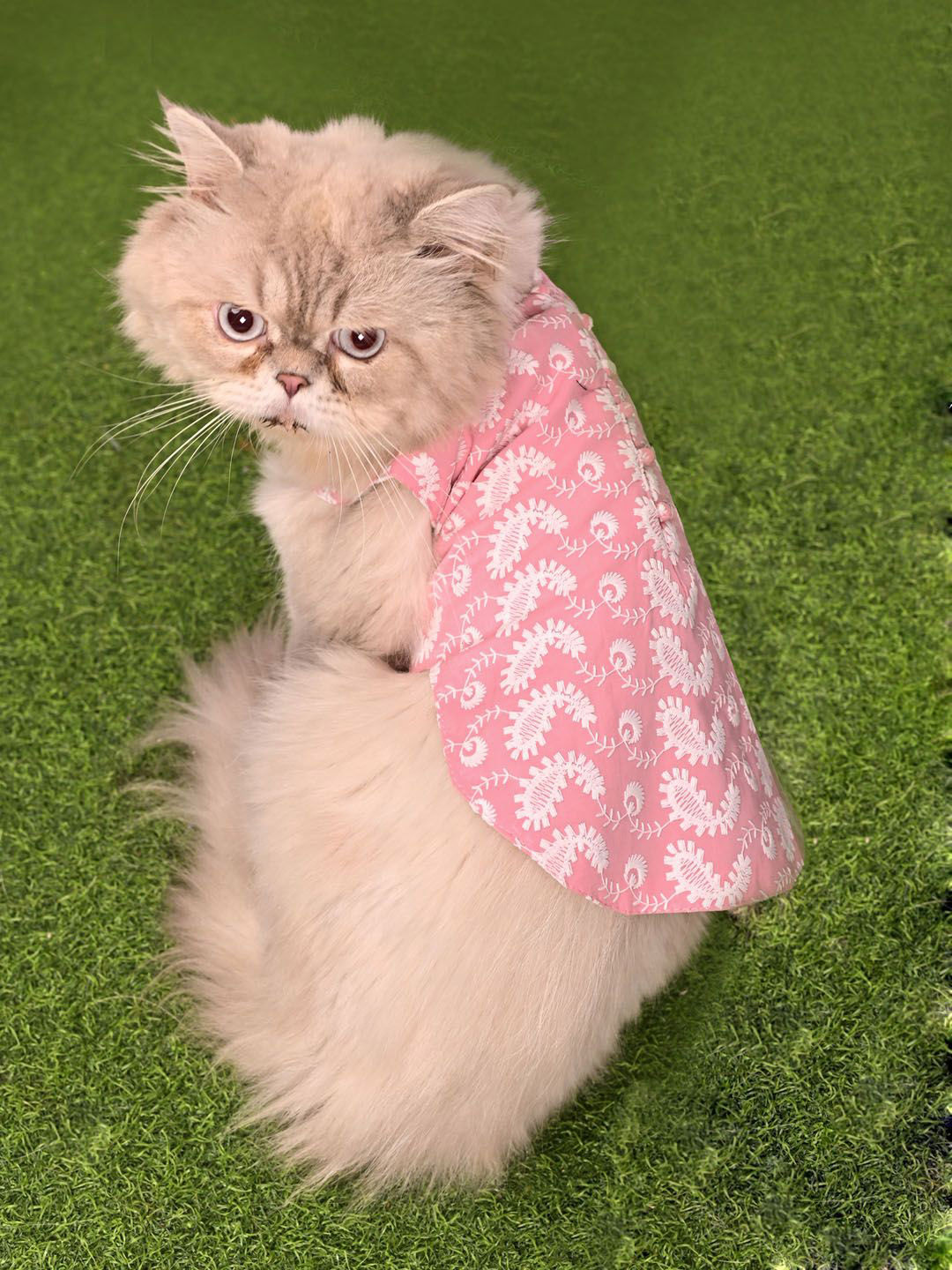 VASTRAMAY Self Design Pure Cotton Cat Dress