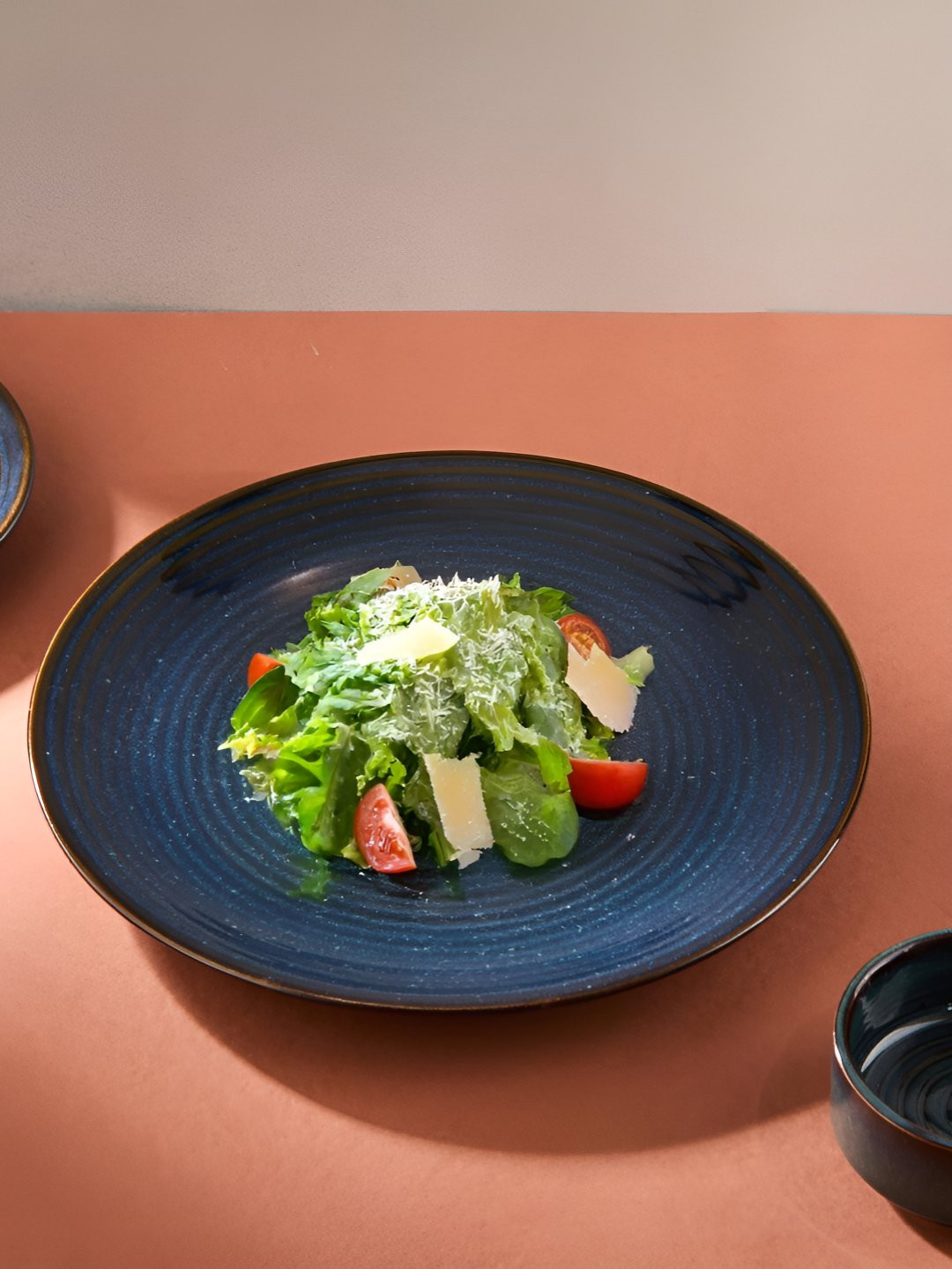 Fabindia Blue 2024 1 Pieces Ceramic Microwave Safe Plates