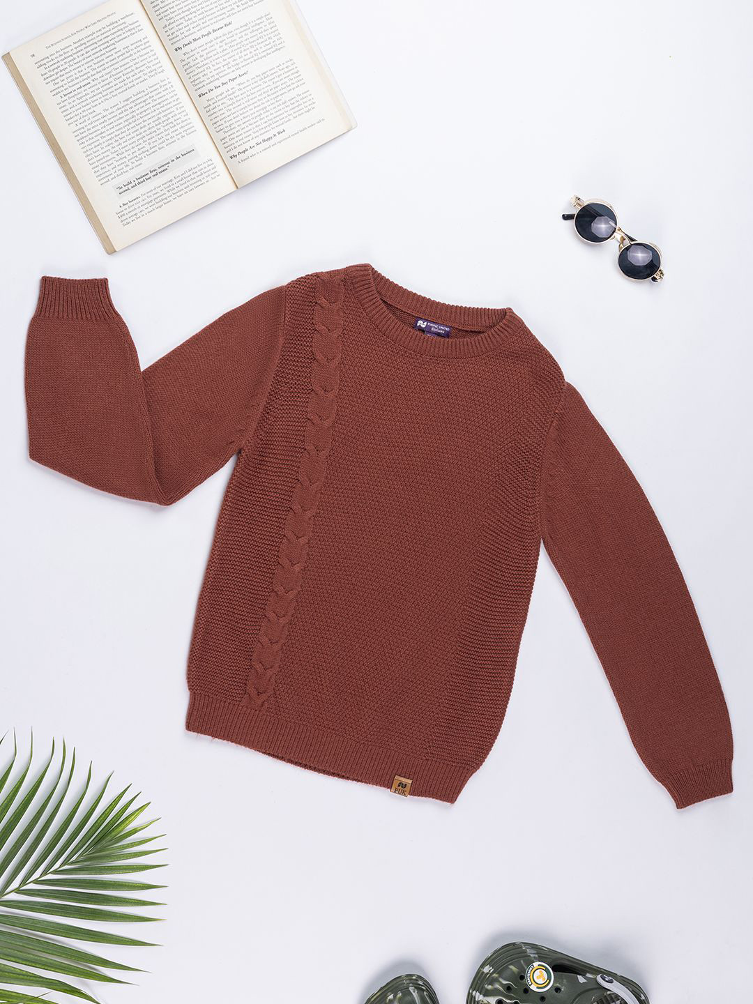 Purple United Kids Boys Cable Knit Cotton Round Neck Long Sleeves Pullover Sweater