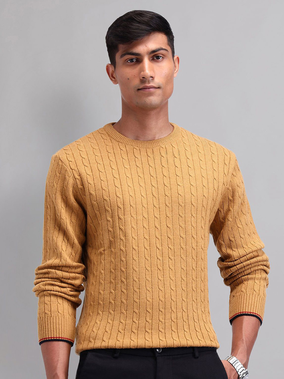 AD By Arvind Men Cable Knit Self Design Pullover