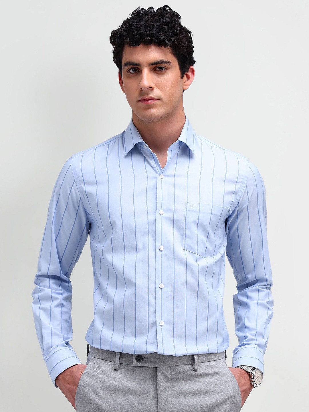 Arrow Men Long Sleeves Verticlar Striped Slim Shirt