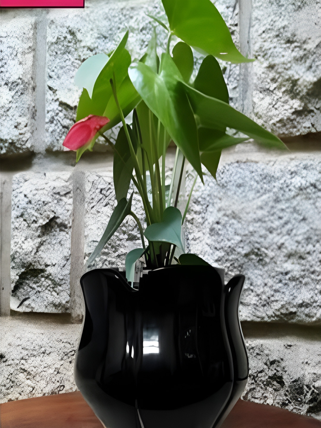 NIYARA Black Lotus Ceramic Planter