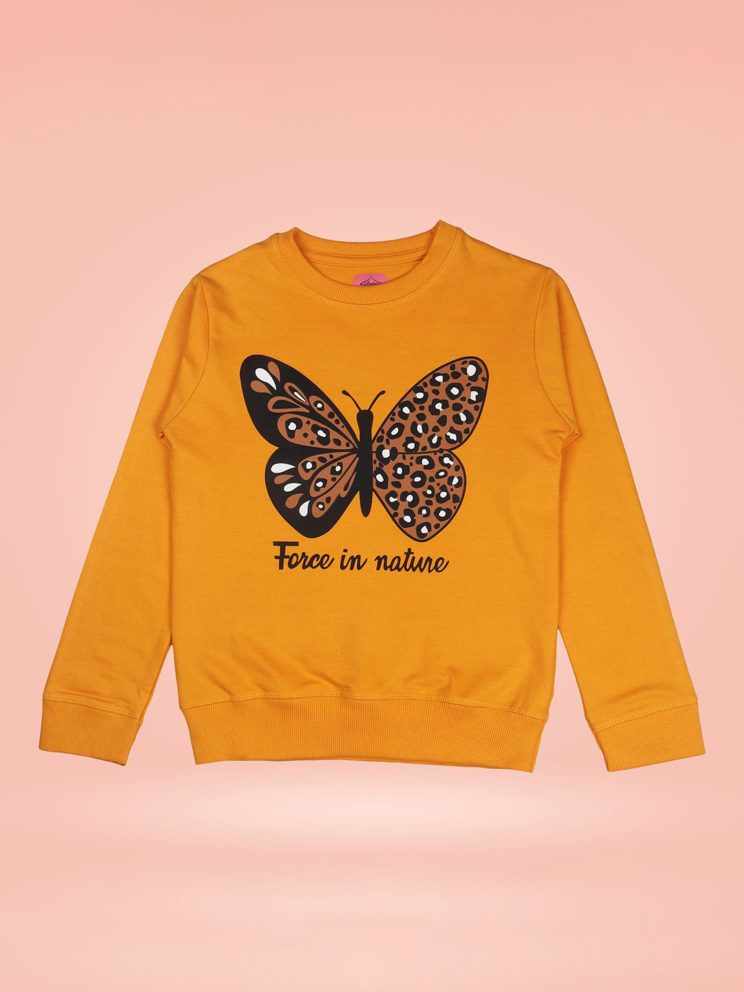 Arshia Fashions Girls Printed Sweatshirt