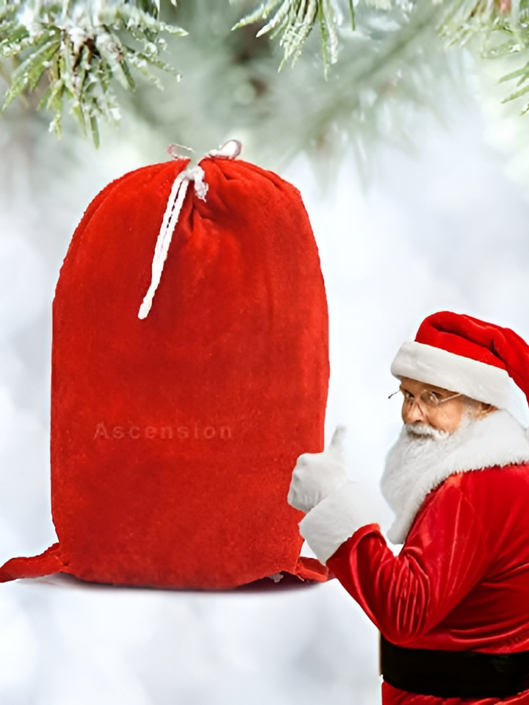 Ascension Christmas Gift Bags