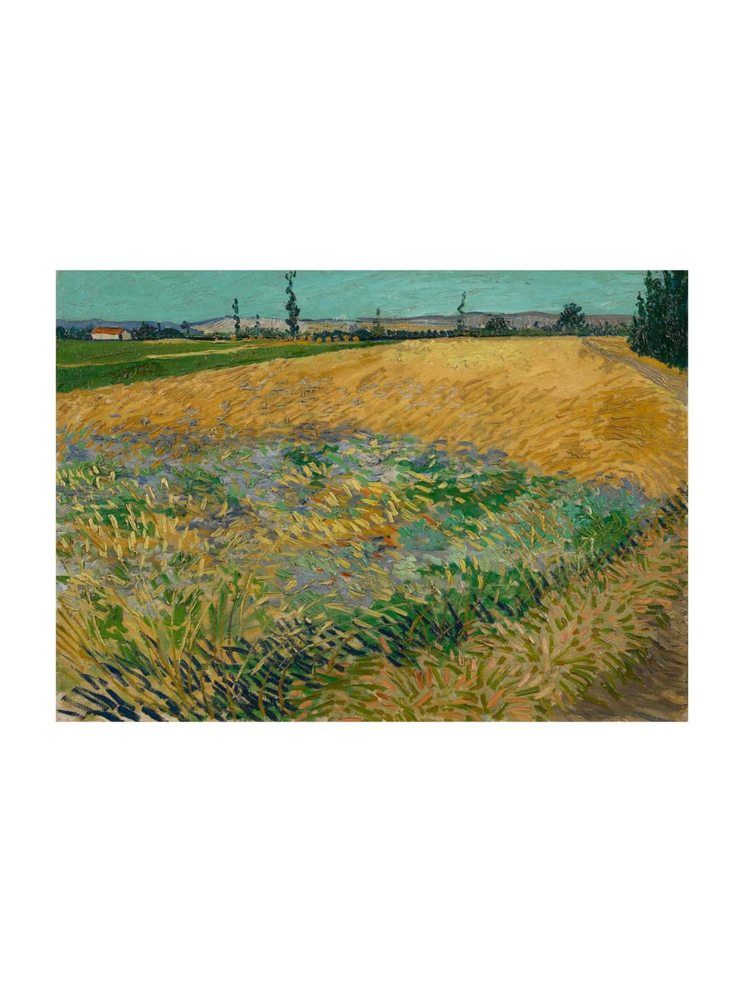 AdventuresIndia Wheatfield Wood Wall Rectangle Paintings Wall Art - 18x24In