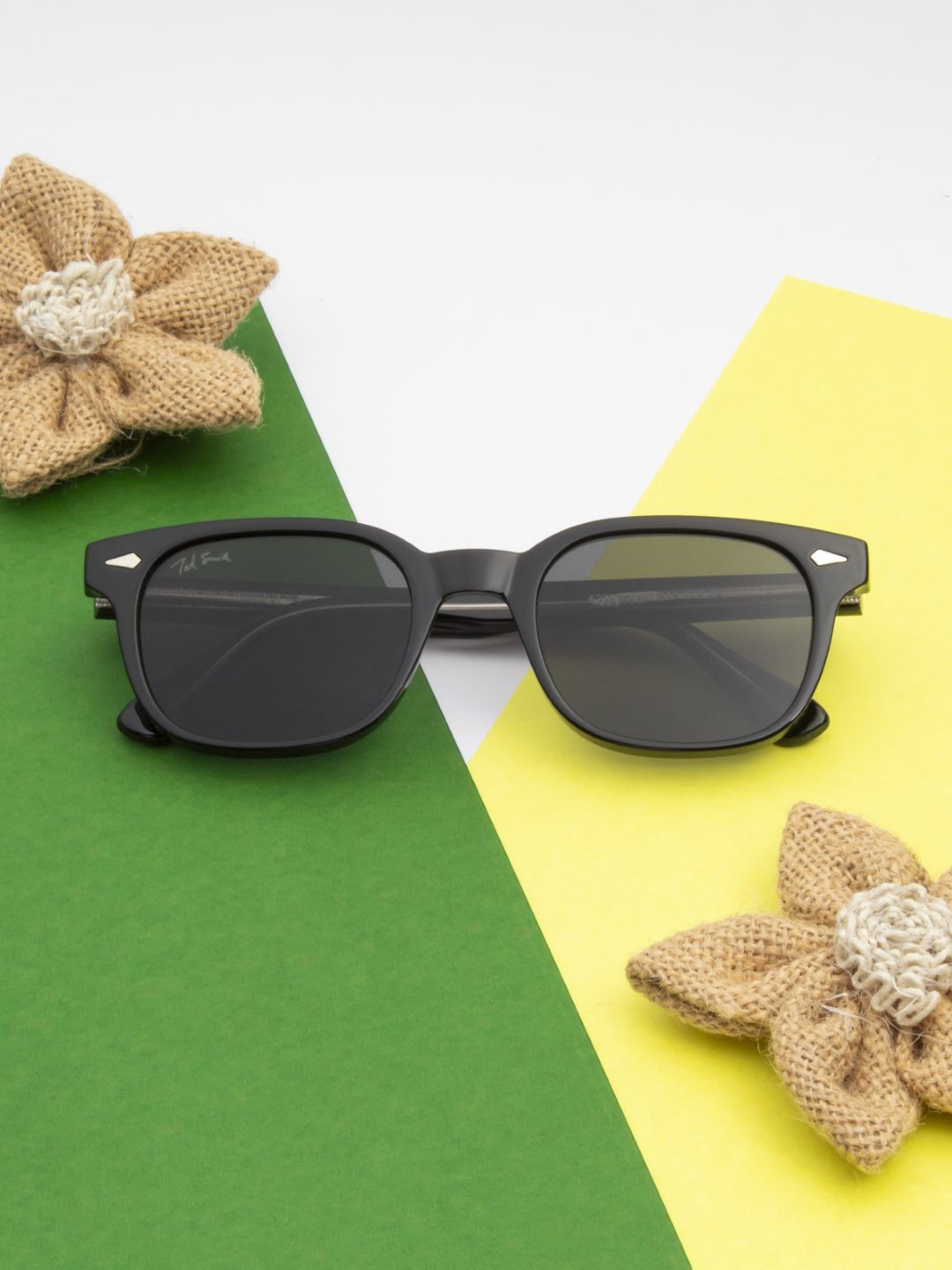 Ted Smith Unisex Wayfarer Sunglasses with UV Protected Lens STEWIE_C1