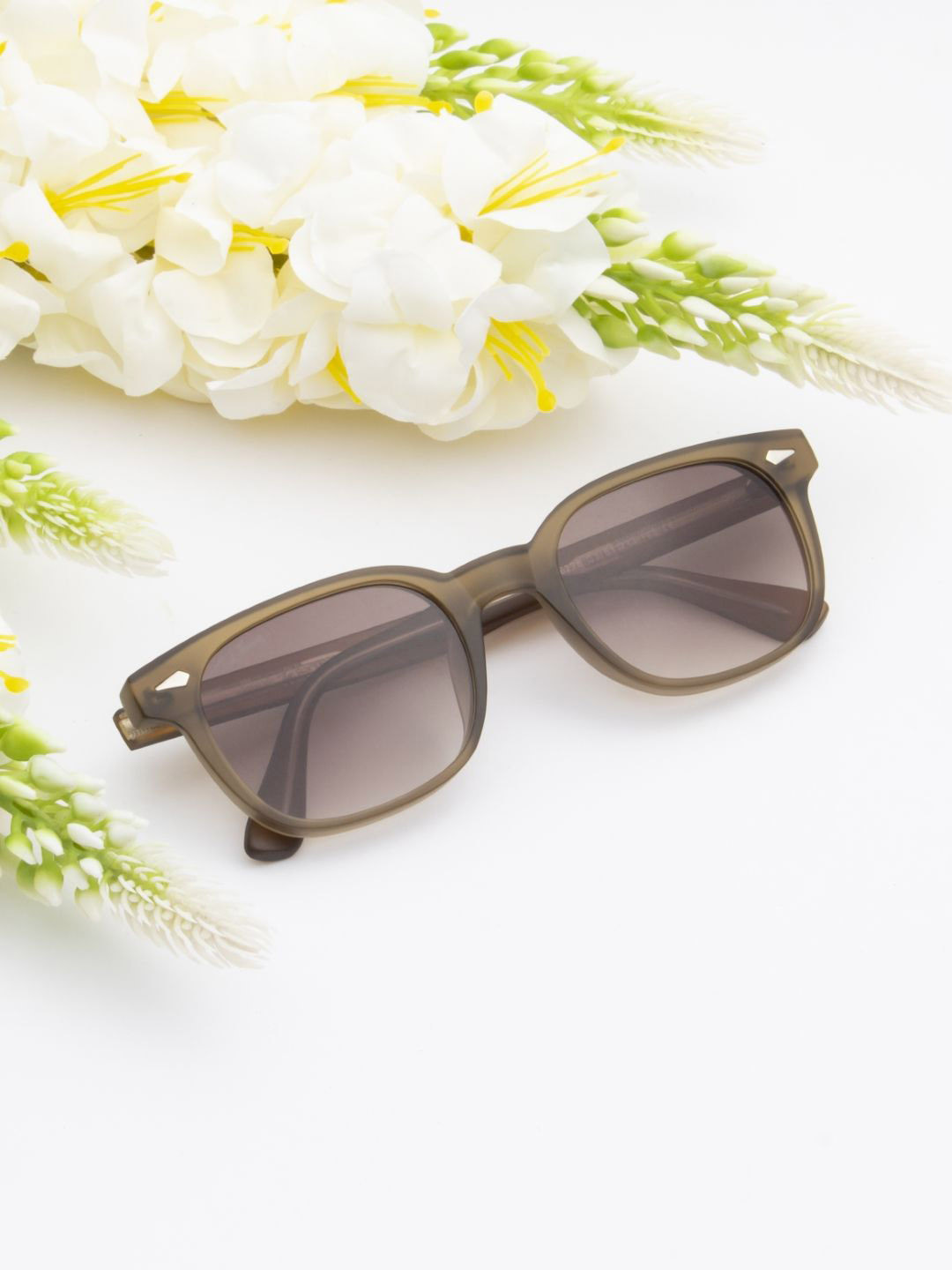 Ted Smith Unisex Wayfarer Sunglasses with UV Protected Lens STEWIE_C3