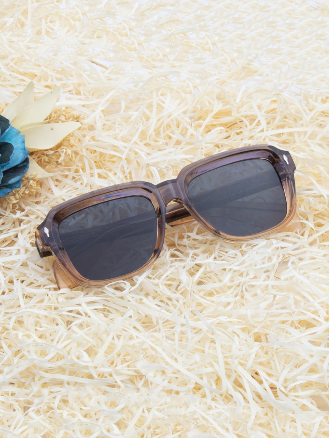 Ted Smith Unisex Wayfarer Sunglasses with UV Protected Lens GLYPH_C6-BROWN