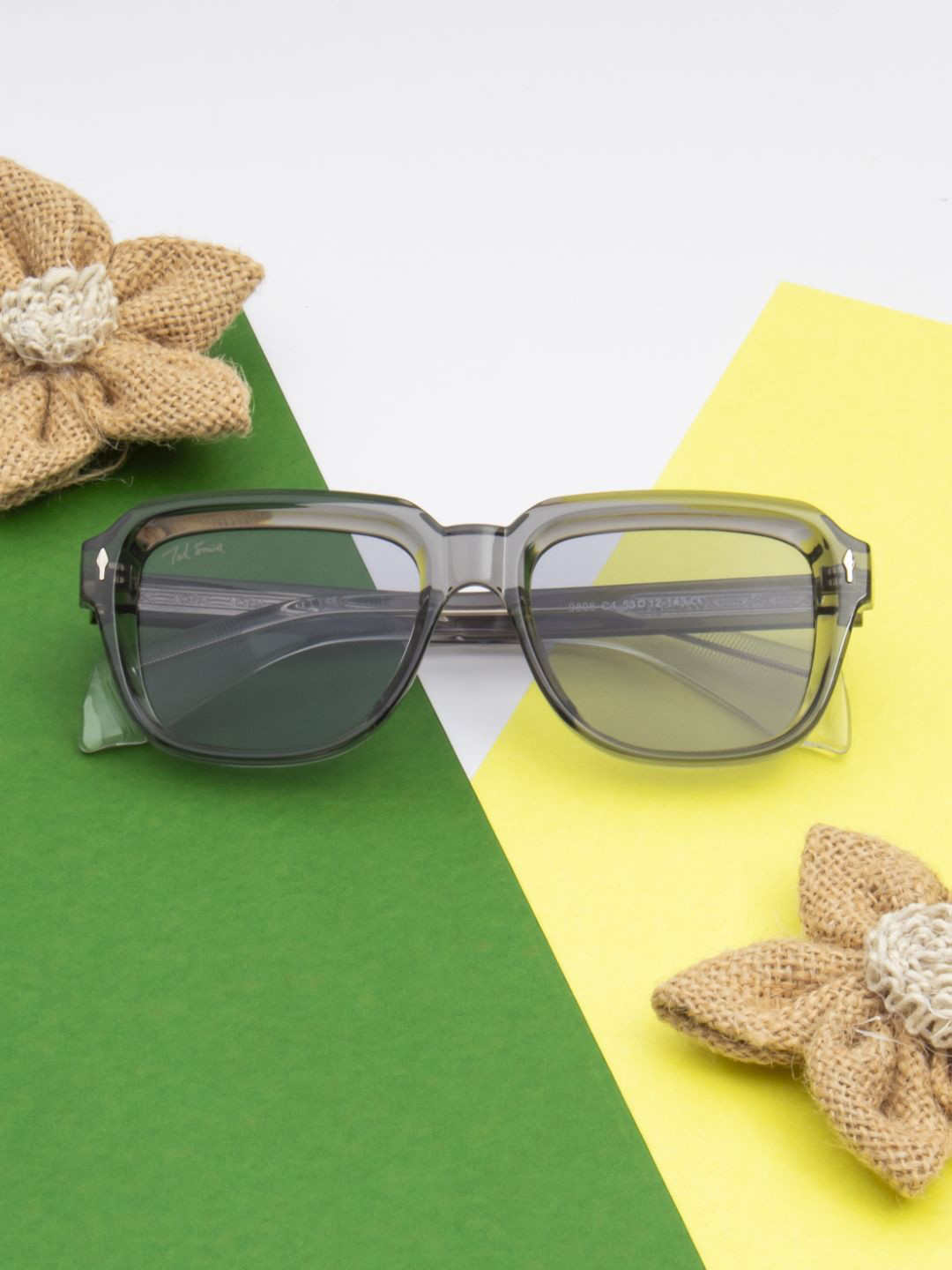 Ted Smith Unisex Wayfarer Sunglasses with UV Protected Lens GLYPH_C4