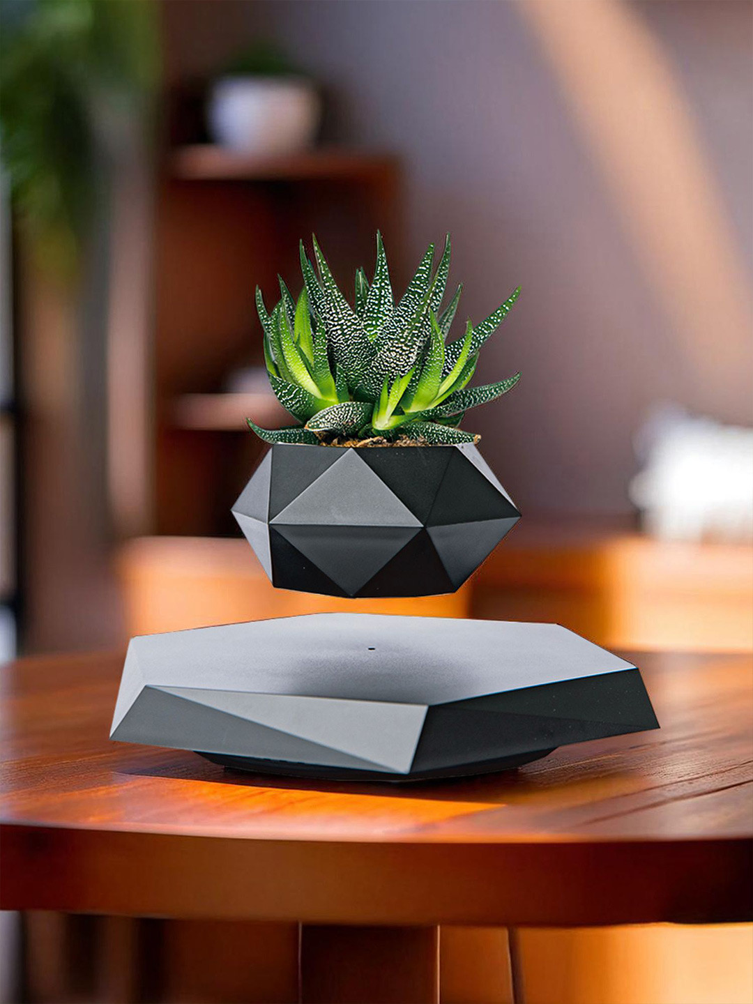 Nostrae by Ekhasa Black 2 Pieces Magnetic Levitating Pots With Marble Base & Cable