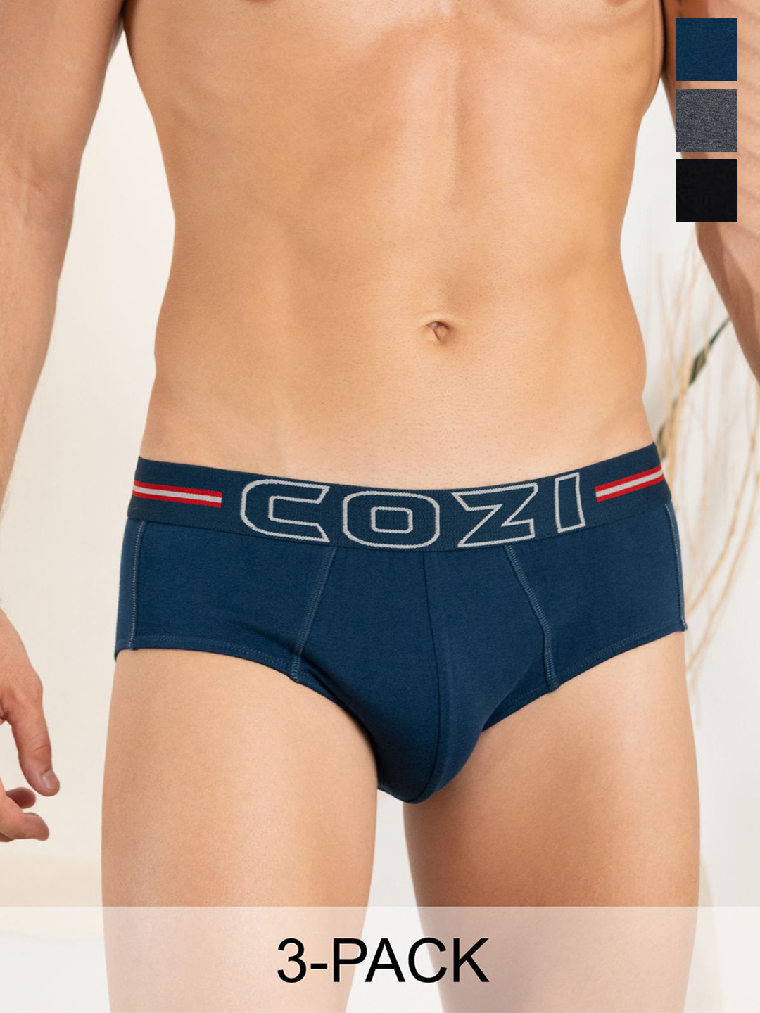 Lux Cozi Men Pack of 3 Pure Cotton Briefs COZI_1124_LUXURY_AST1_3PC