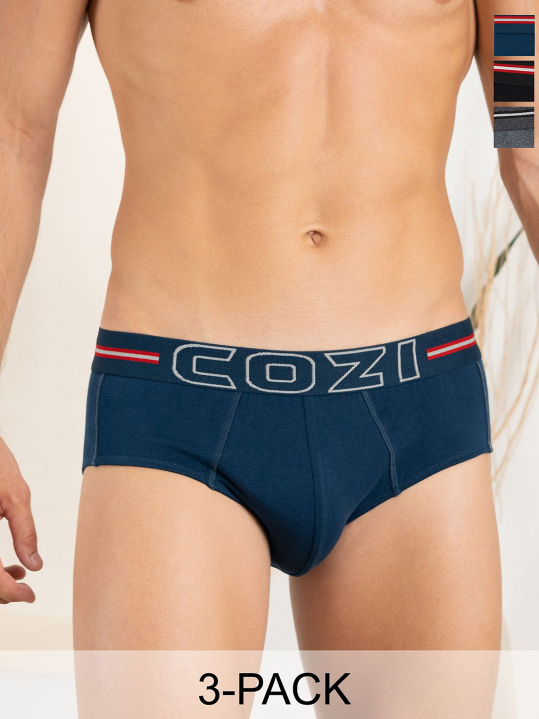 Lux Cozi Men Pack Of 3 Cotton Basic Briefs COZI_1124_LUXURY_AST1_3PC