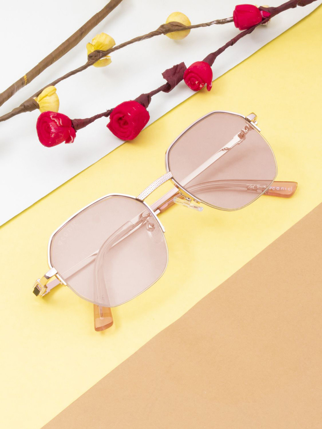 Ted Smith Unisex Square Sunglasses with UV Protected Lens HEXON 3_C5