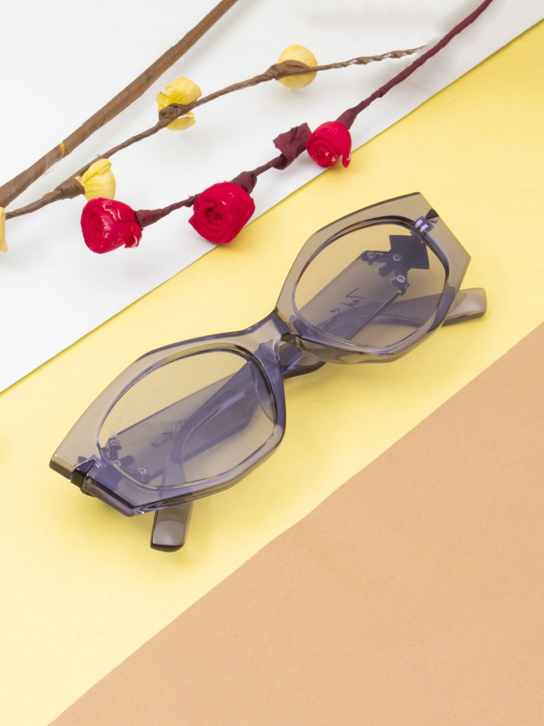 Ted Smith Women Cateye Sunglasses with UV Protected Lens TOKIO_C2-GREY