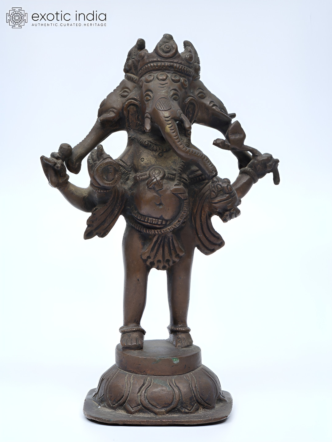 Exotic India Three Headed Standing Lord Ganesha Brown Brass Metallic Prayer Room Small Showpiece - 7.5 Inches