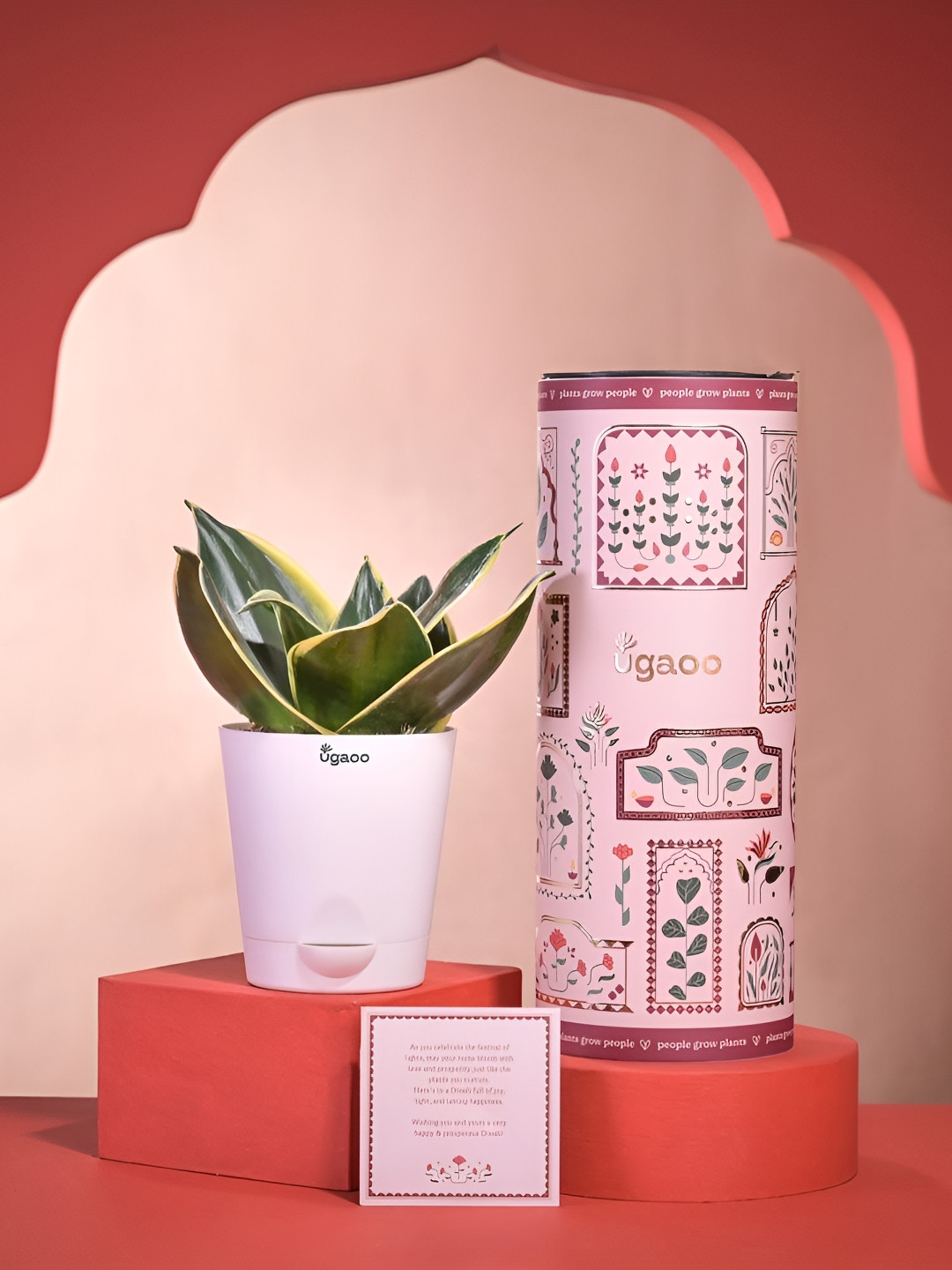 UGAOO Red & Green Snake Plant Diwali Gift with Greeting Card