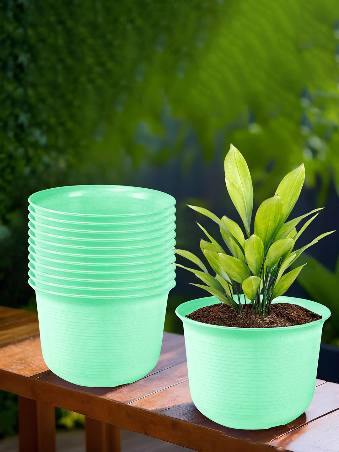 Kuber Industries Green 12 Pieces Flower Pot With Plates