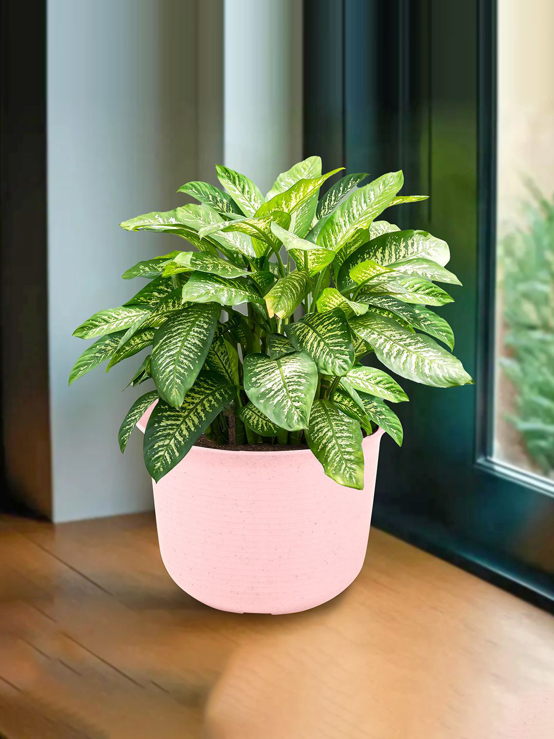 Kuber Industries Pink Textured Planter With Plate