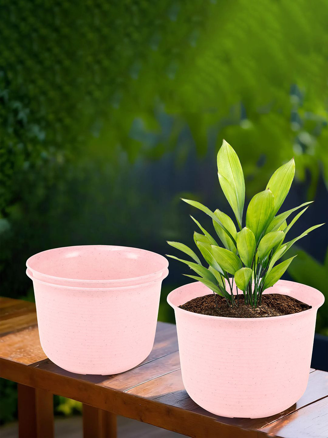 Kuber Industries Pink 3 Pieces Planters With Plates
