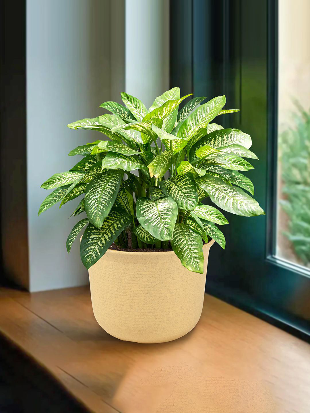 Kuber Industries Beige Planter With Plate