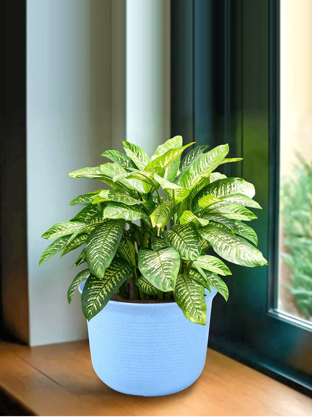 Kuber Industries Marble Sawera Blue Planters With Plates