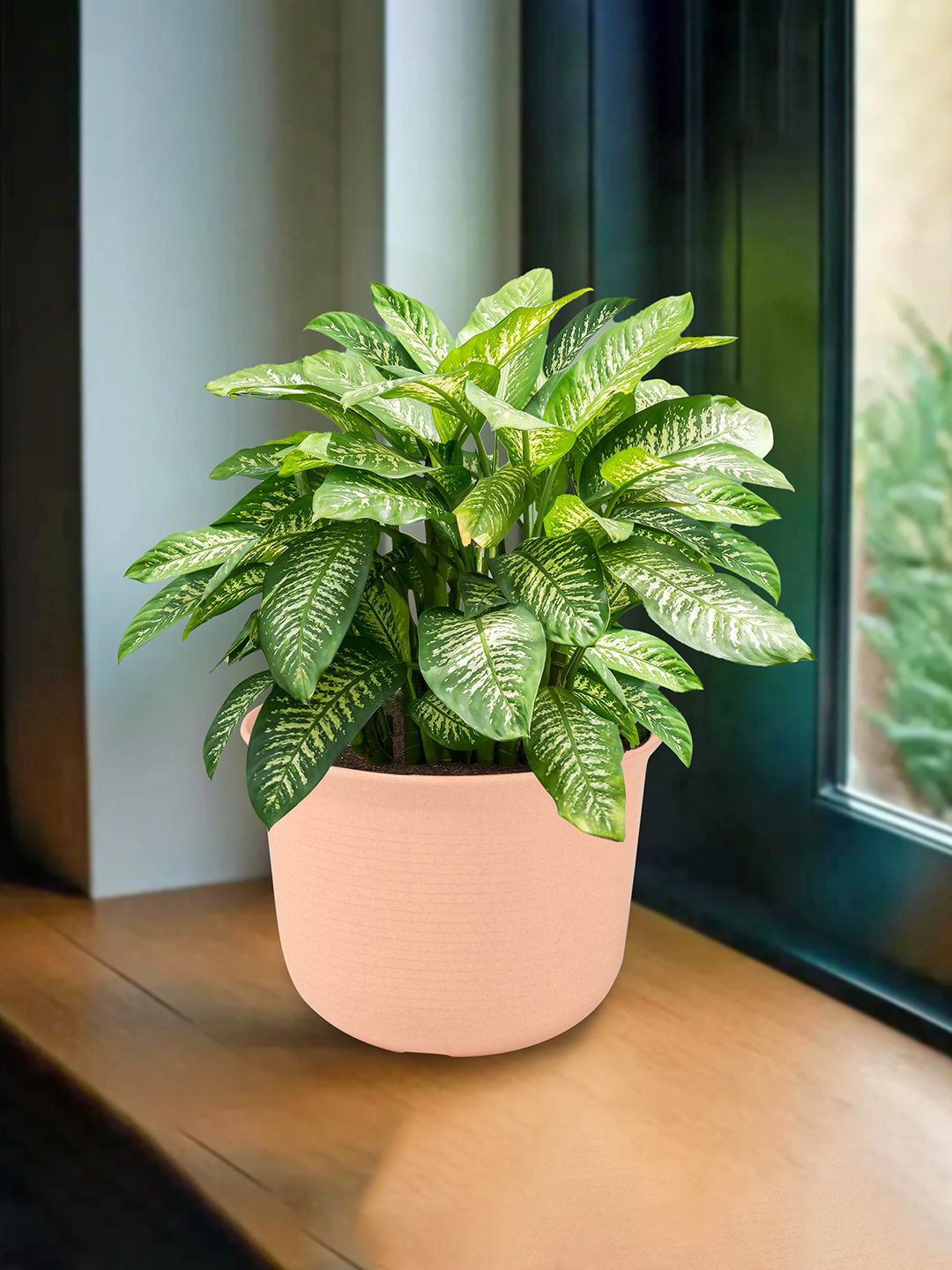 Kuber Industries Peach-Coloured Planters With Plates