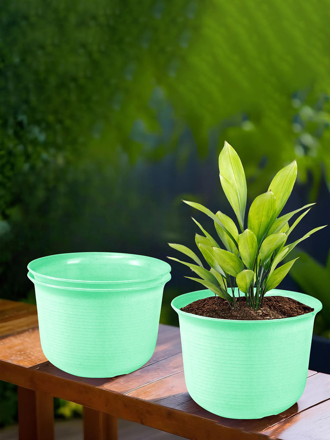 Kuber Industries Green 3 Pieces Sawera Planters With Plate
