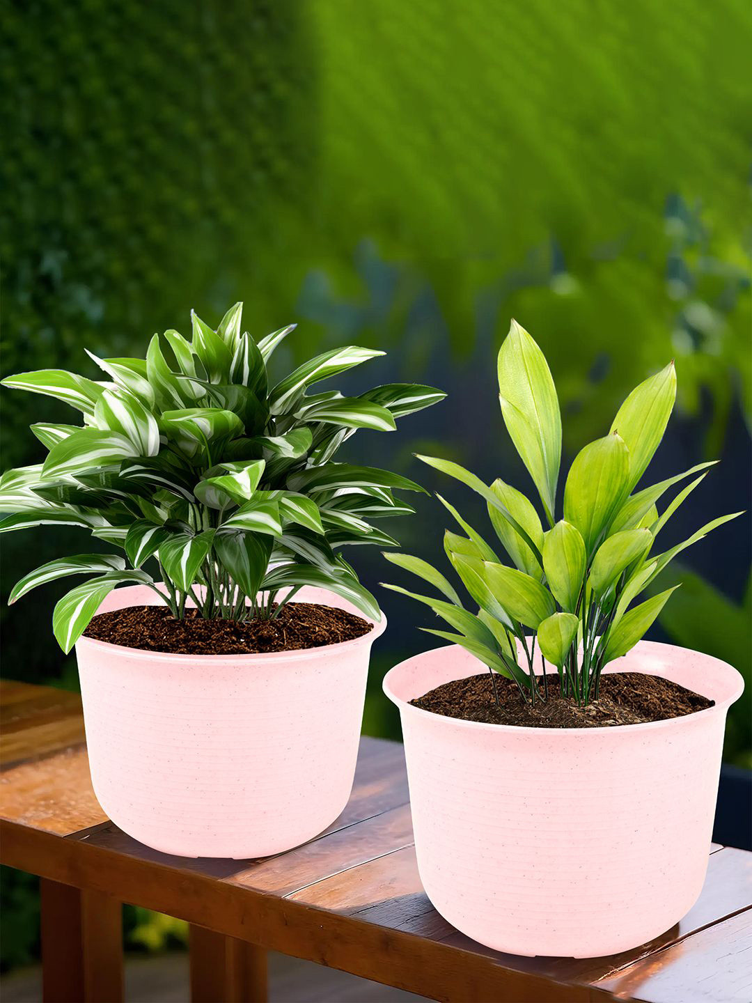 Kuber Industries Pink 2 Pieces Textured Flower Pots With Plates