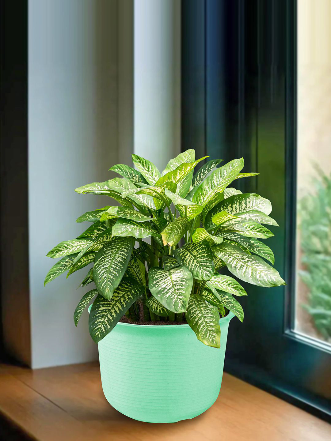 Kuber Industries Green Marble Finish Planters With Tray