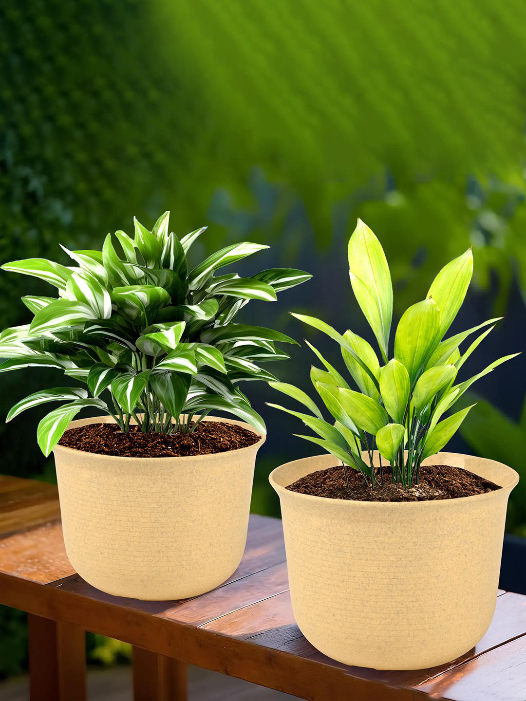 Kuber Industries Beige 2 Pieces Flower Pot With Plate