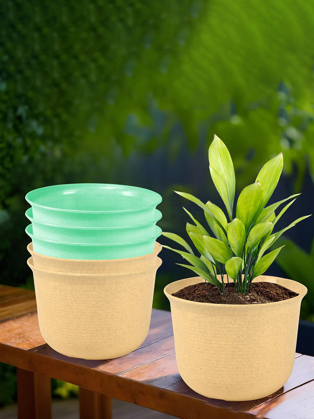 Kuber Industries Green & Beige 6 Pieces Durable Planter with plates