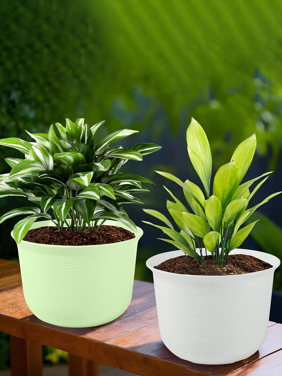 Kuber Industries White & Green 2 Pieces Textured Planters With Plate