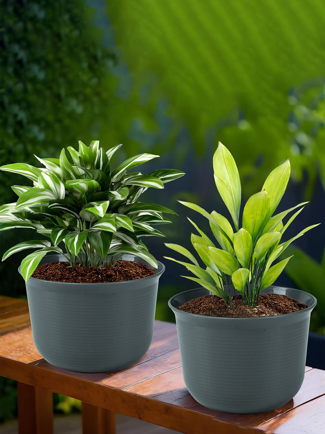 Kuber Industries Sawera Grey 2 Pieces Textured Planters With Plates