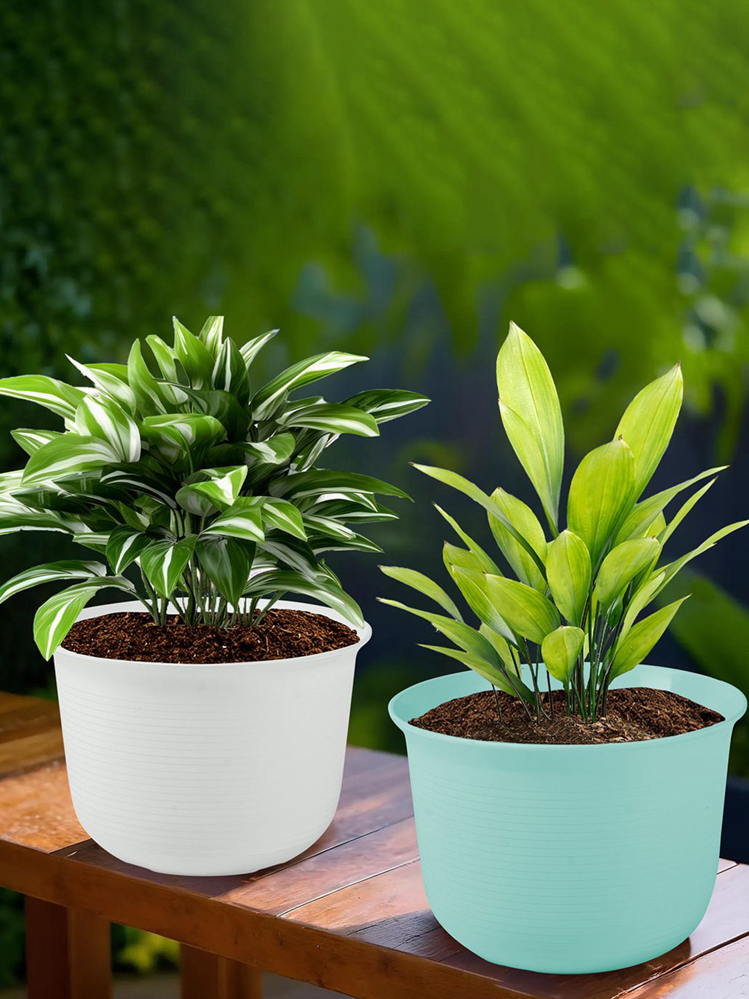 Kuber Industries Sawera White & Blue 2 Pieces Textured Planters With Plates
